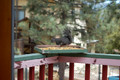 Lunch at Mark and Margie's Cabin